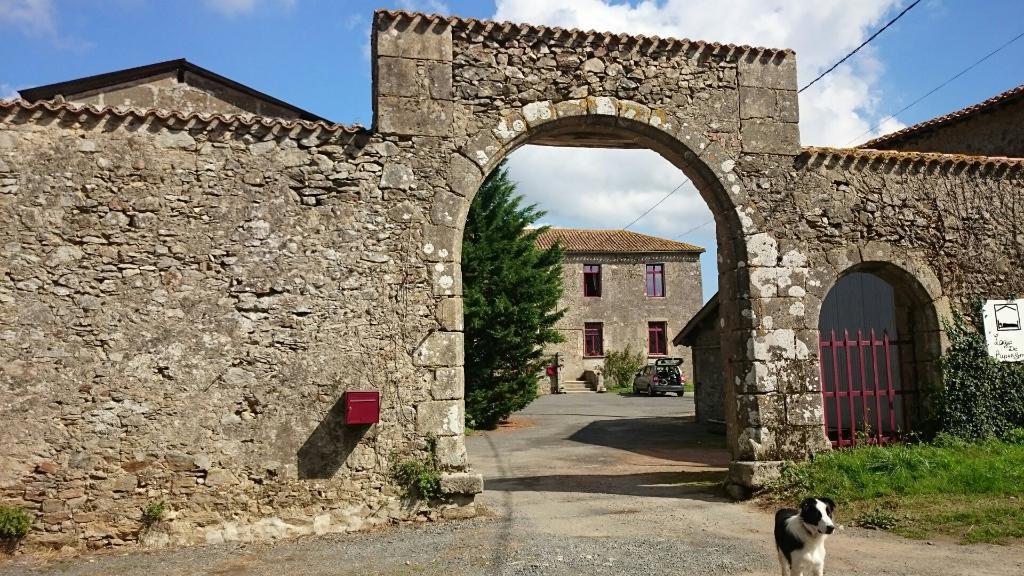 Logis De Riparfonds Bed & Breakfast Bressuire Exterior photo